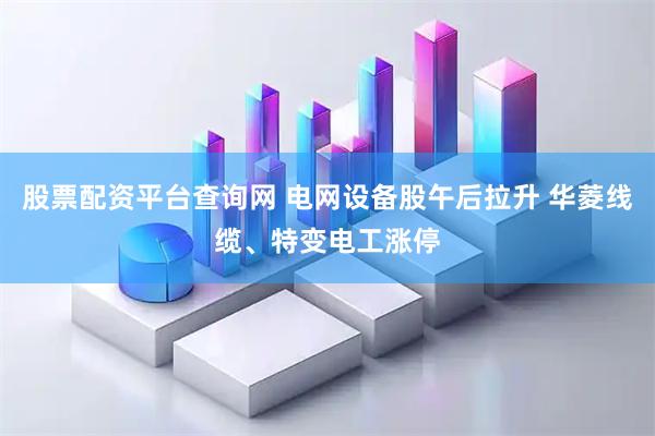 股票配资平台查询网 电网设备股午后拉升 华菱线缆、特变电工涨停